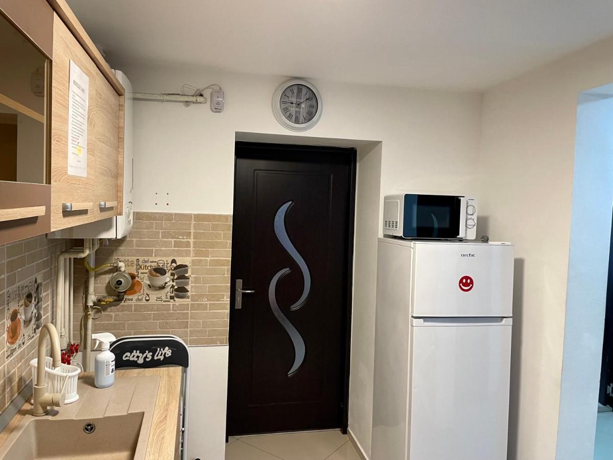 Tampa Residence Брашов Экстерьер фото