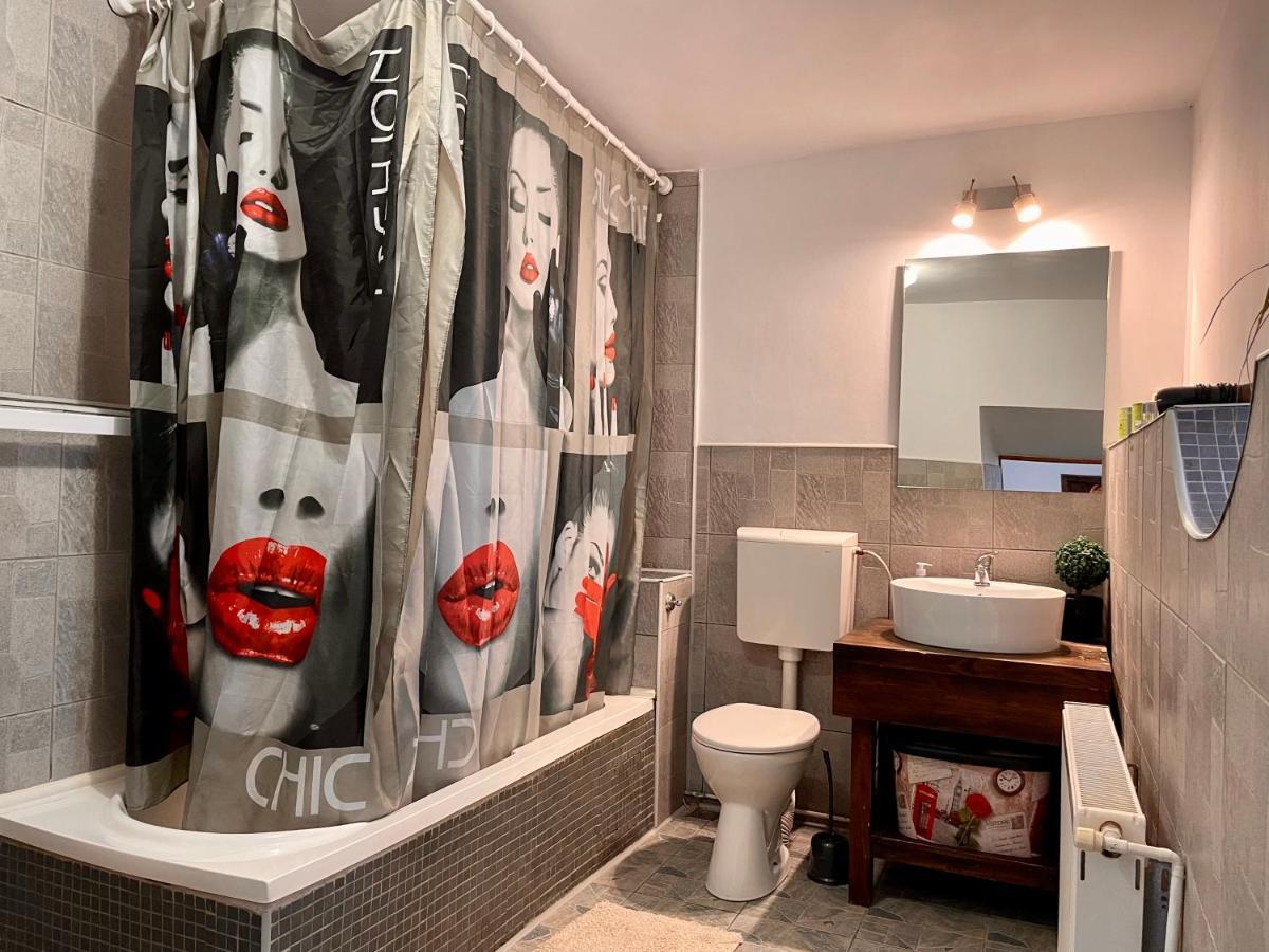 Tampa Residence Брашов Экстерьер фото